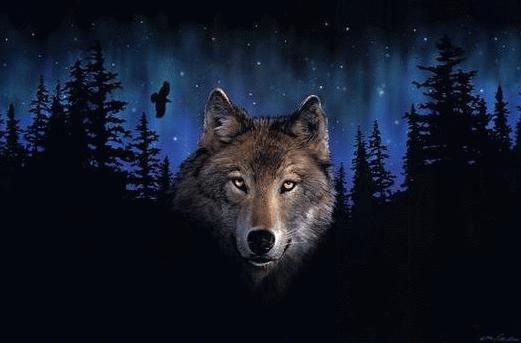 sticker_1445224_2471677