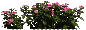 sticker_23663428_40613027