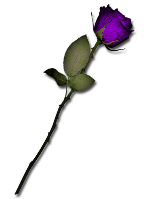sticker_11227109_16120416