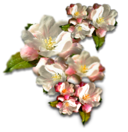 sticker_9147000_22158403