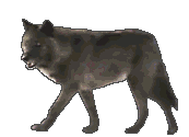 sticker_23249456_32085542