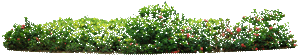 sticker_19565642_31744499
