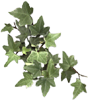 sticker_27320825_38026559