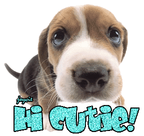sticker_4390107_36542535