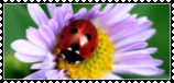 sticker_9230524_47432770