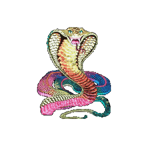 sticker_15619627_25576029