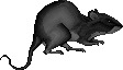 sticker_9571884_41152204