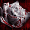 sticker_17799585_34184968
