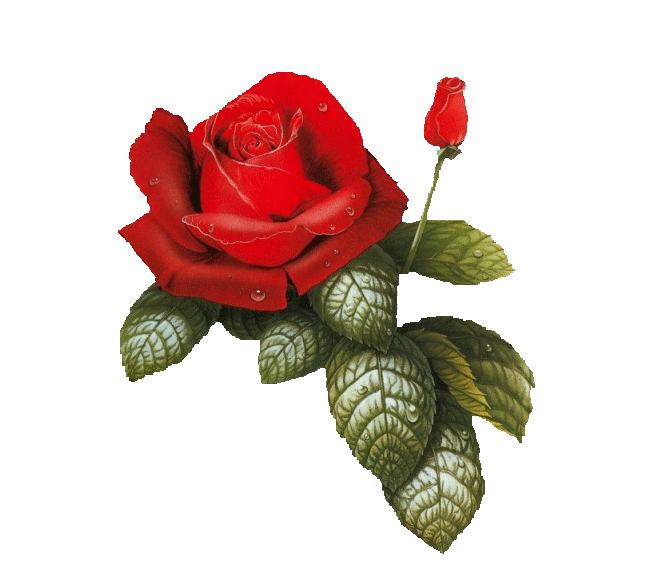 sticker_11640350_33836772