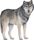 sticker_18238031_25099245