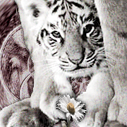 sticker_11913979_32932072