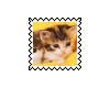 sticker_17992944_30377028