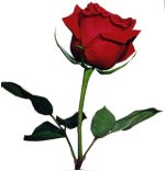 sticker_17450083_29795027