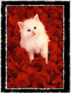 sticker_7789650_47458819