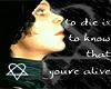sticker_13334460_40576203