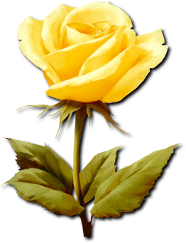 sticker_24620185_33293229