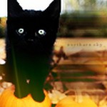 sticker_13337863_23315609