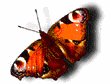 sticker_29947563_41162948