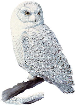 sticker_19280142_43428653