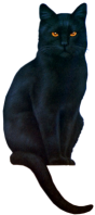 sticker_8845149_40637627