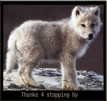 sticker_10041704_16646375
