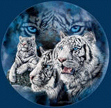 sticker_3682101_12067056
