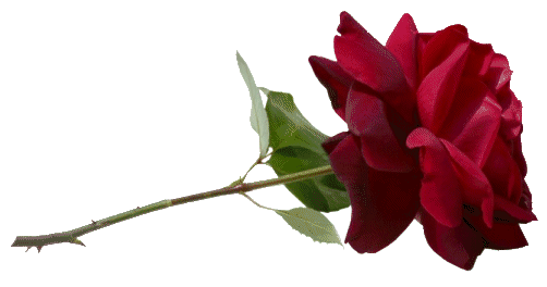 sticker_16291787_40267174