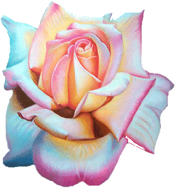 sticker_18678670_25301445