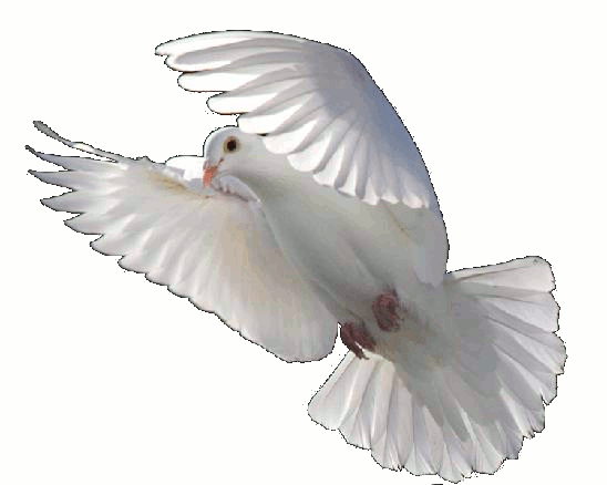 sticker_12534360_44621704