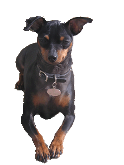 sticker_16626361_21585804
