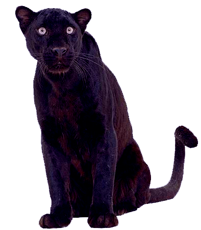 sticker_166449_2159956