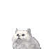 sticker_8987740_44032461