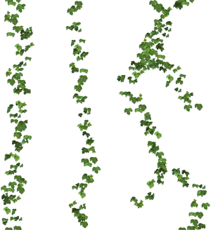 sticker_19565642_33034276