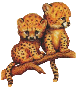 sticker_166449_2569161