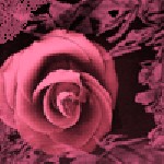 sticker_2125402_5070291