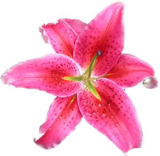 sticker_6150995_8250117