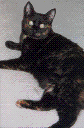 sticker_23941120_36008403