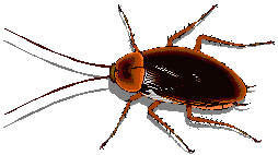 sticker_26009582_35860117