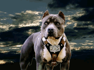 sticker_5278950_23119347