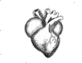 sticker_498593_23924063