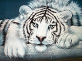 sticker_3682101_12067060