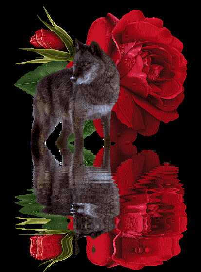 sticker_9182246_11973962