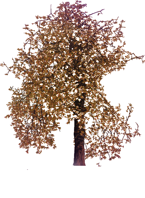 sticker_17942595_24061866