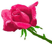 sticker_166449_563008