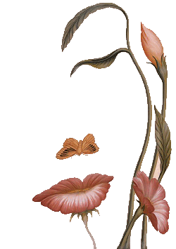 sticker_26535102_39097495
