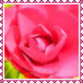 sticker_6884603_34440963