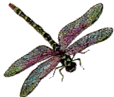 sticker_22961994_37935640