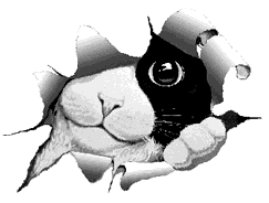 sticker_25130638_34986744