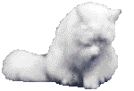 sticker_20053295_34086487