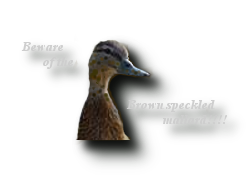 sticker_11930168_26357250